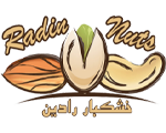 Radin Aras螺母