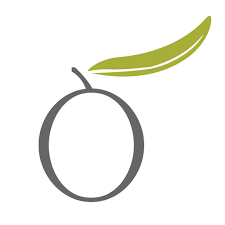 بهین افشره پارس